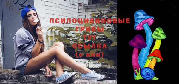 бошки Новозыбков