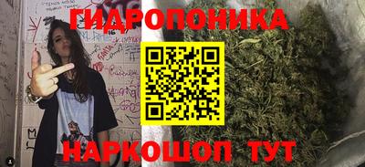 хмурый Кимры