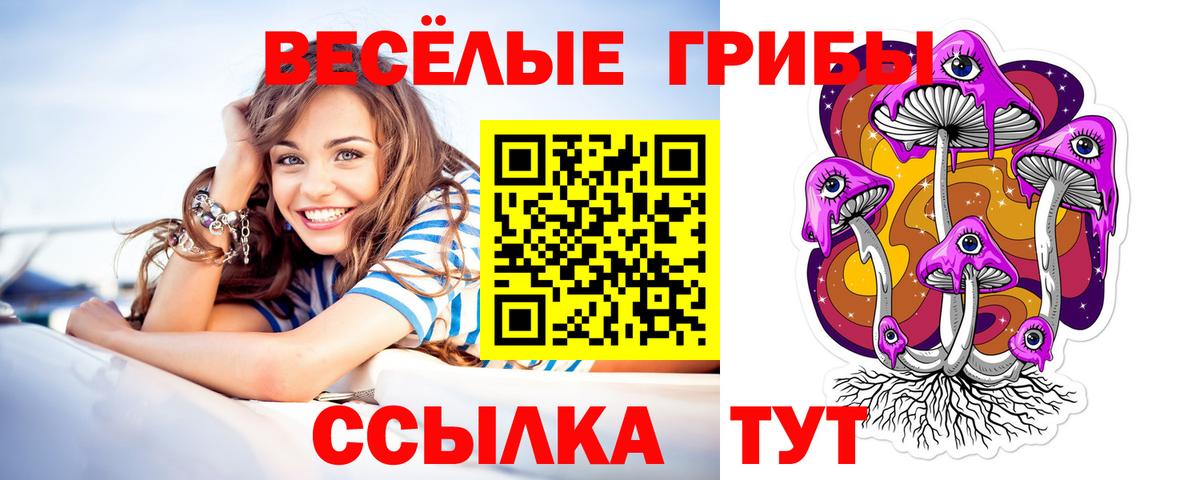 Псилоцибиновые грибы мицелий Кострома